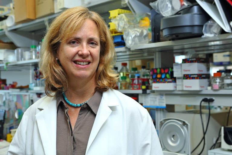 Nancy Freitag, UIC