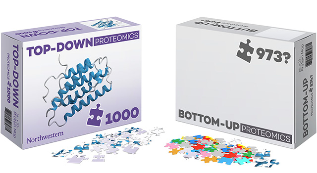 Proteomics Puzzle Illustrations