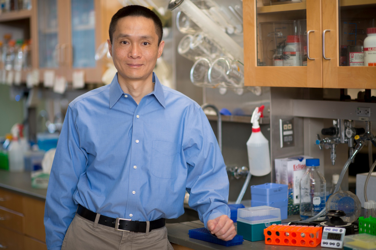 A compound breaks down a component of cancer cells.