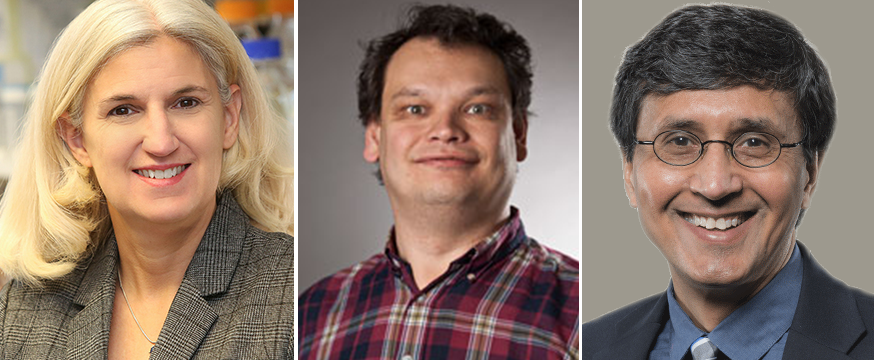 CBC COVID-19 Response Award recipients: (from left) Karla Satchell (NU), Vadim Gaponenko (UIC), and Viresh Rawal (UChicago)